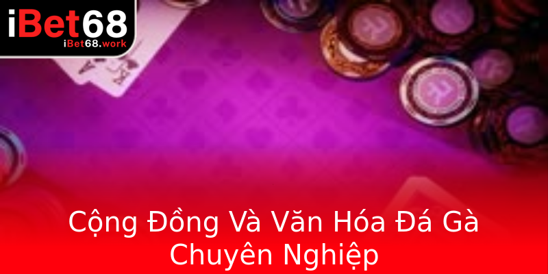 Cộng Đồng Và Văn Hóa Đá Gà Chuyên Nghiệp Cộng Đồng Và Văn Hóa Đá Gà Chuyên Nghiệp