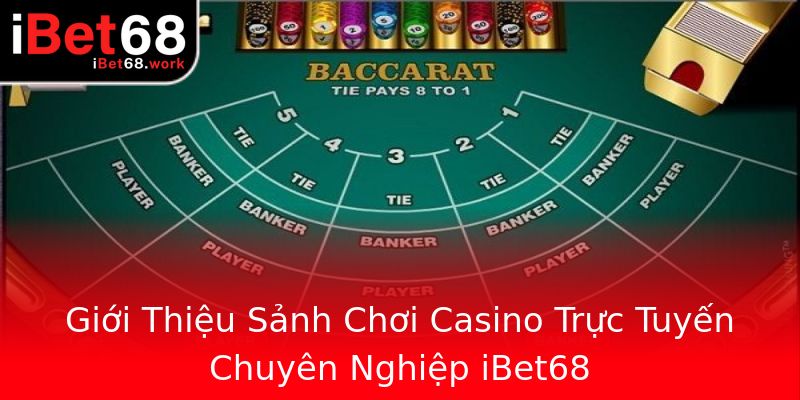 Giới Thiệu Sảnh Chơi Casino Trực Tuyến Chuyên Nghiệp iBet68 Giới Thiệu Sảnh Chơi Casino Trực Tuyến Chuyên Nghiệp iBet68