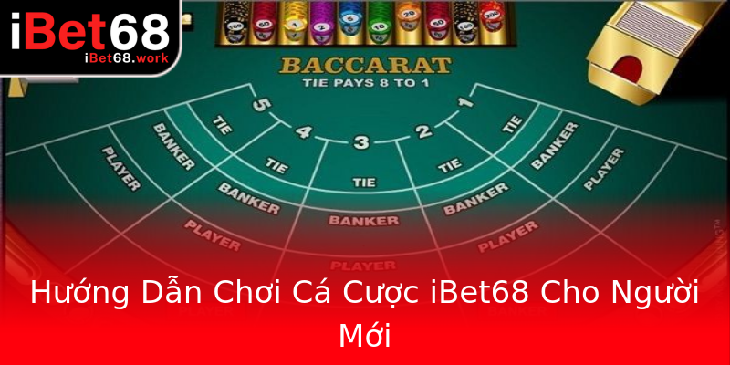 Hướng Dẫn Chơi Cá Cược iBet68 Cho Người Mới Hướng Dẫn Chơi Cá Cược iBet68 Cho Người Mới